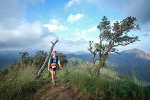 BIB: 
                            <button type="button" onclick="openModal(22373532)" class="btn btn-primary btn-sm float-right btn-popup" data-toggle="modal" data-target=".modal-high-quality">
                        <i class="fas fa-shopping-cart"></i> Add to Cart
                    </button>
                                            <button type="button" onclick="isThisMe(22373532, true)" class="btn btn-success btn-sm float-right btn-popup btn-isme hidden" data-toggle="tooltip" data-placement="bottom" title="นี่คือรูปของคุณใช่ไหม คลิกที่นี่เพื่อเอาเข้าอัลบั้ม">
                        <i class="fas fa-plus"></i> Add to album
                    </button>
                    <button type="button" onclick="isThisMe(22373532, false)" class="btn btn-warning btn-sm float-right btn-popup btn-isnotme hidden">
                        <i class="fas fa-ban"></i> Remove from album
                    </button>